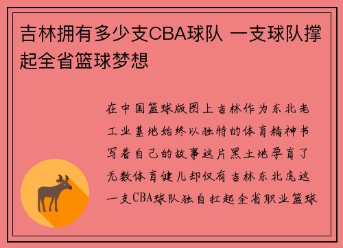 吉林拥有多少支CBA球队 一支球队撑起全省篮球梦想