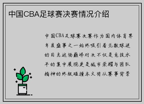 中国CBA足球赛决赛情况介绍