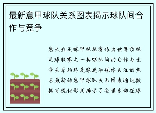 最新意甲球队关系图表揭示球队间合作与竞争